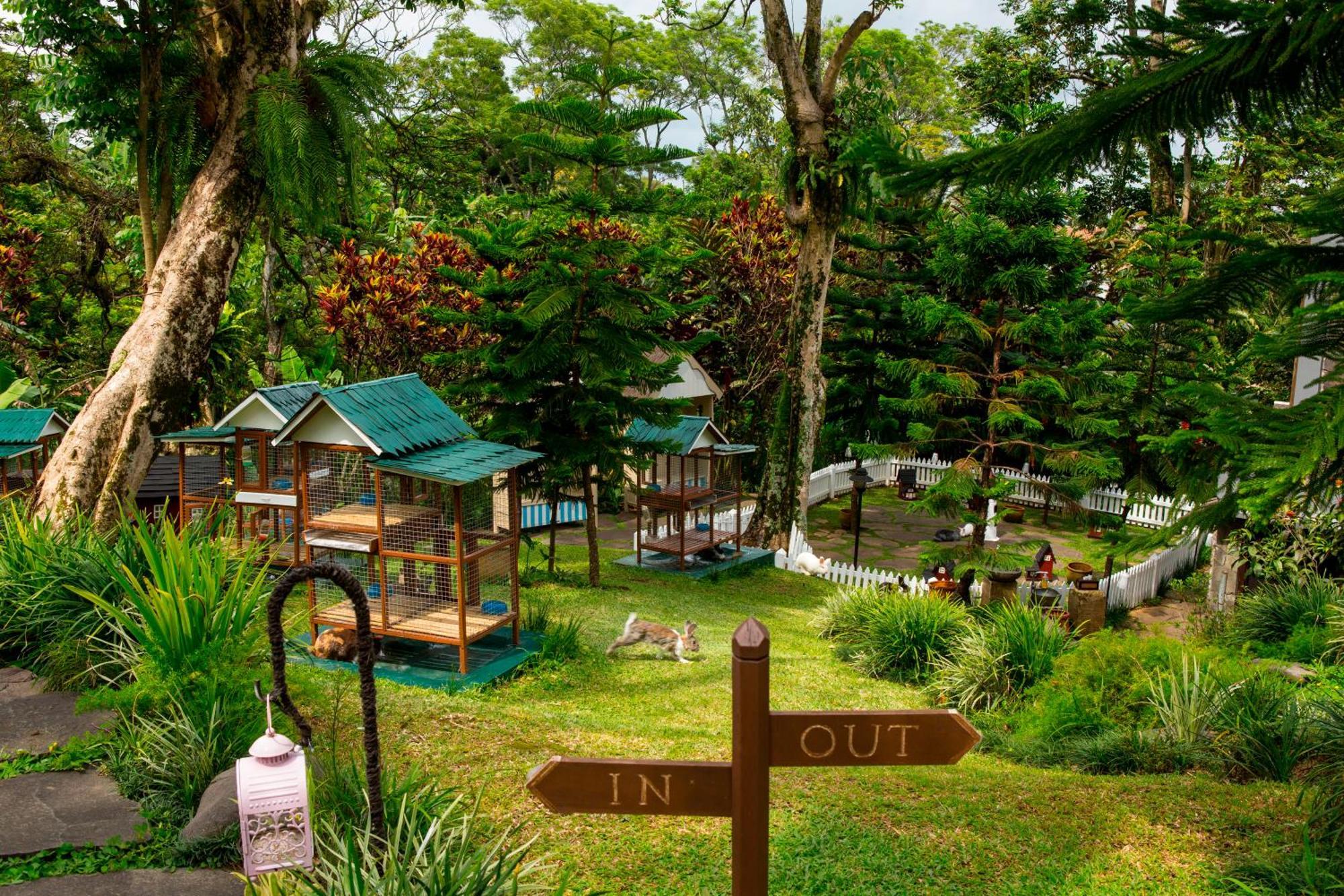 Novus Giri Resort y Spa Puncak Exterior foto